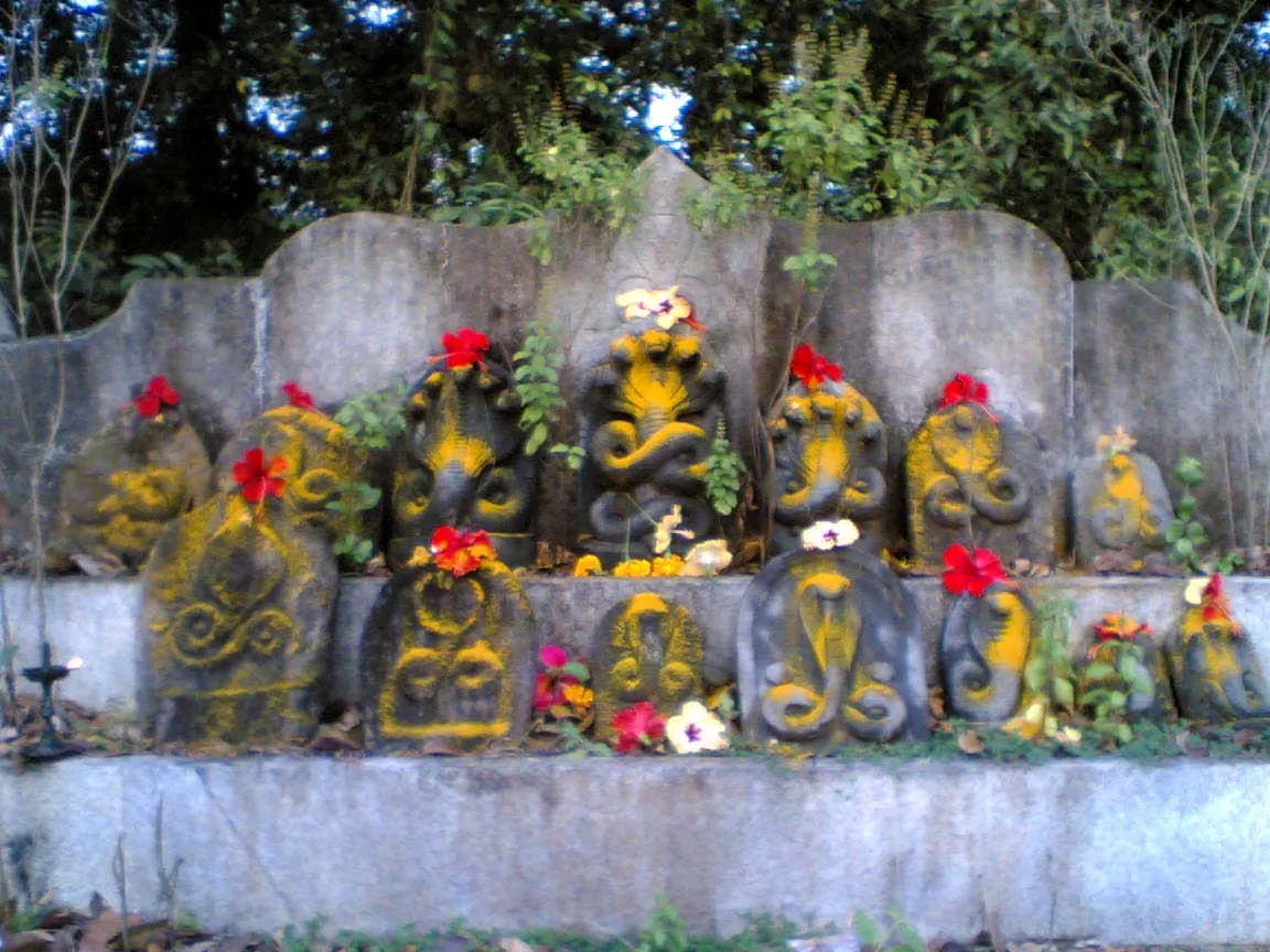 A row of carved stone cobras, smeared with turmeric and decorated with red hibiscus, in a nagabana under trees
