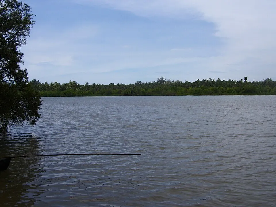 The wide Pavanje river under a partly cloudy sky, with a green, tree-lined far bank
