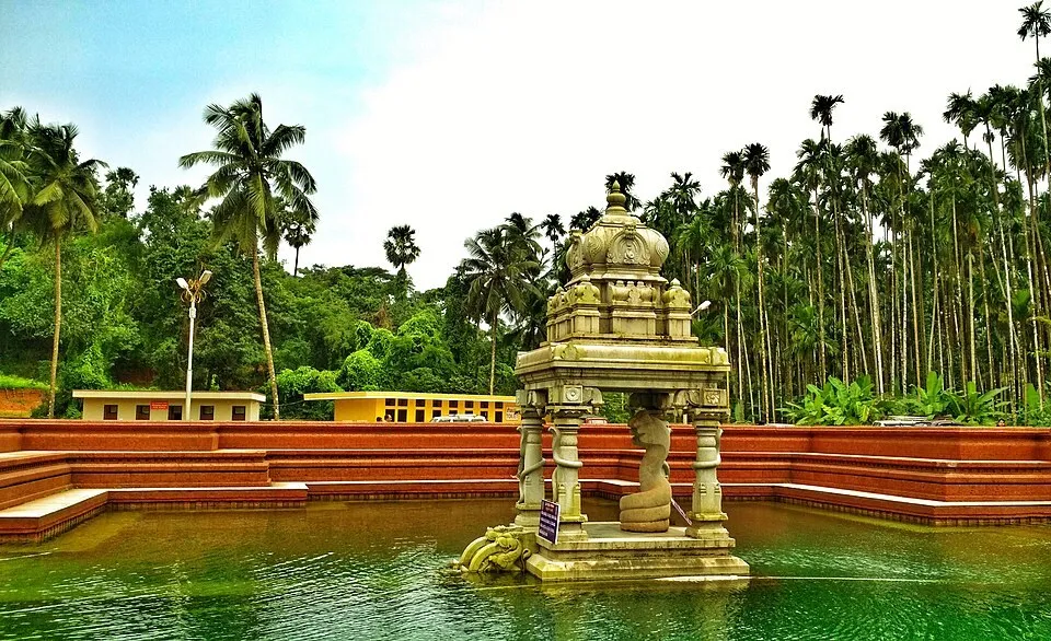 The green water of the temple pond at Kudupu with a stone mantapa standing in it, stepped sides and areca palms behind