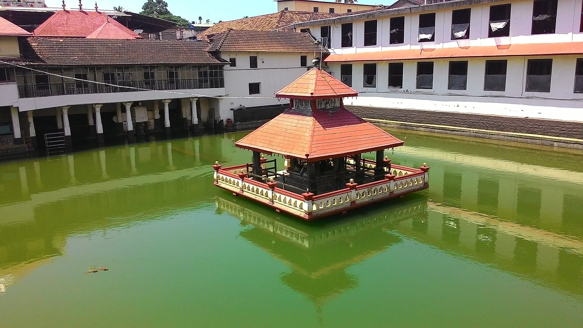 The temple pond at Udupi, green water with a small tiled pavilion in the middle, ringed by matha buildings